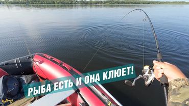 Я СВОЮ ЦЕЛЬ ДОСТИГ – РЫБА ЕСТЬ И ОНА КЛЮЕТ! 🎣🎣🎣РЫБАЛКА НА ВОЛГЕ