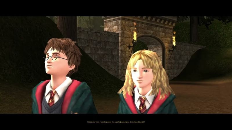 Гарри Поттер