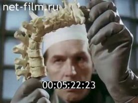 Авария (16+) Судебно – медицинская экспертиза автомобильной травмы.. (1987)