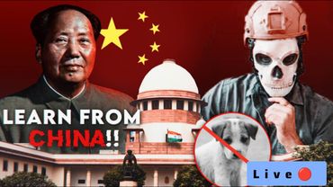 Stray Dogs Ban Discussion live