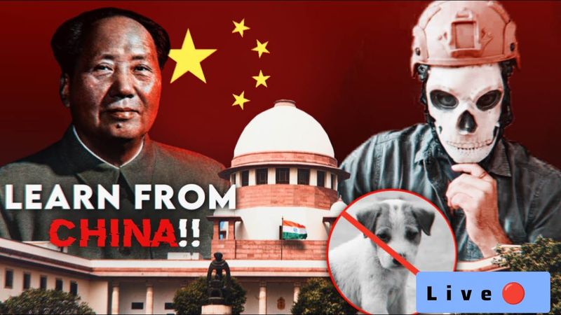 Stray Dogs Ban Discussion live