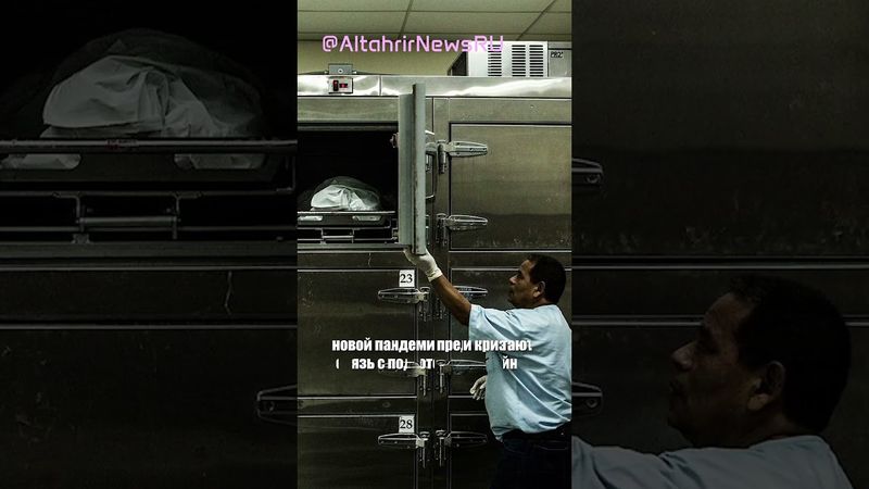 Великобритания тайно заказала мобильные морги на 700 тел