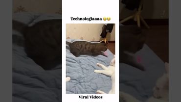 #shortvideo #memes #funnyimages #funny #funnymemes