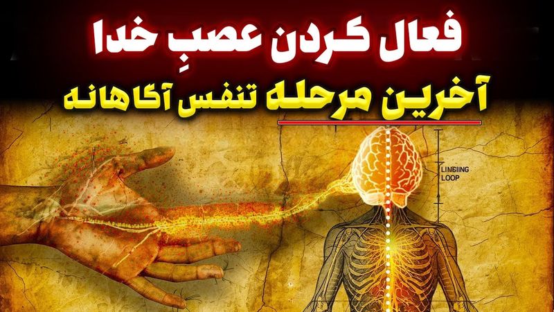 عصبِ خدا چیست؟ | تکنیک 4 دقیقه ای که بدن را وارد حالت تجلی میکند!