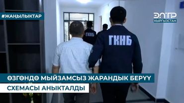 ӨЗГӨНДӨ МЫЙЗАМСЫЗ ЖАРАНДЫК БЕРҮҮ СХЕМАСЫ АНЫКТАЛДЫ