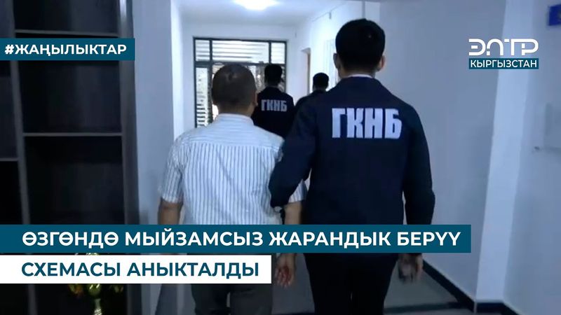 ӨЗГӨНДӨ МЫЙЗАМСЫЗ ЖАРАНДЫК БЕРҮҮ СХЕМАСЫ АНЫКТАЛДЫ