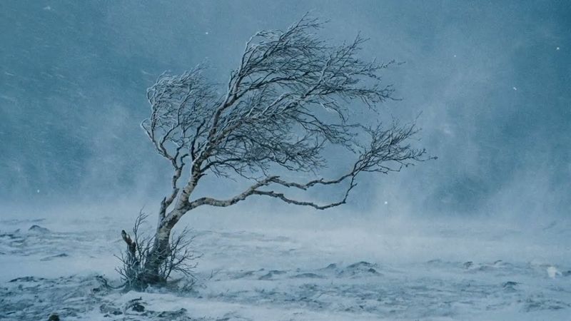 «ХОЛОДНО ОЧЕНЬ». Стынет душа от тоски. Зимний Шансон (Премьера)