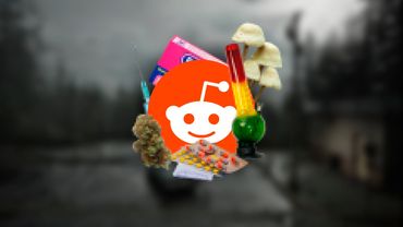 ТРИП РЕПОРТЫ СО ВСЕГО РЕДДИТА 3