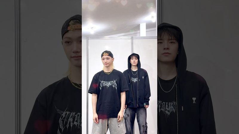 당신의 댕냥을 𝒫𝒾𝒸𝓀 𝓊𝓅!﻿✧°₊·♡∗ #StrayKids #스트레이키즈 #필릭스 #Felix #승민 #Seungmin #YouMakeStrayKidsStay