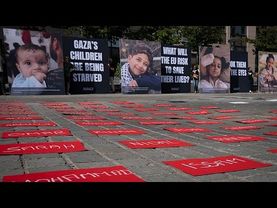 EU inaction on Israel could erode international order, NGO Avaaz warns