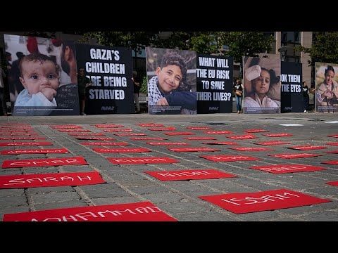 EU inaction on Israel could erode international order, NGO Avaaz warns