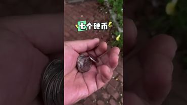 《民間秘術》七顆硬幣轉運增財富！接了！轉發！功德無量！#民俗文化 #民間故事 #暴富 #正能量 #玄學 #運勢 #國學文化 #命理 #分享 #財富 #轉運 #八方來財