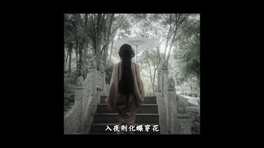 晚上夢多的人，內容越豐富就越聰明！#聰明 #做夢 #國學智慧 #正能量 #夢境 #玄學 #國學文化