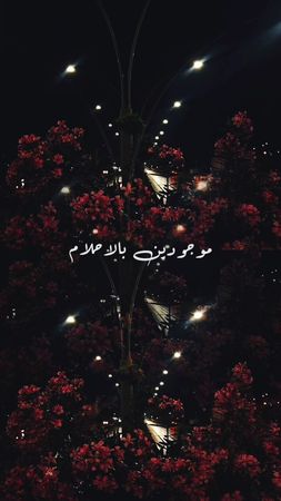 بالاحلام 🩷 #اغاني_رايقة #ناصيف #بالاحلام #اكسبلورexplore #اغاني_عربيه...