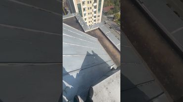 Лучшая работа в мире