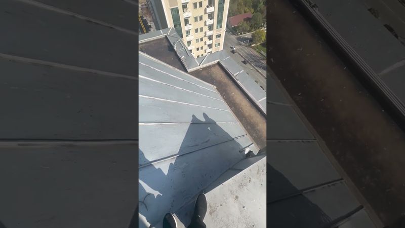 Лучшая работа в мире