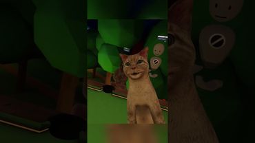 👇😹#lolathon #laughingcat