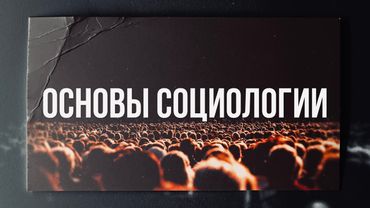 Основы социологии: как начать понимать