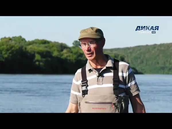 Фрагмент эфира (Дикая рыбалка HD, 21.08.2025)