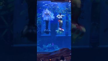 Funny chubby mermaid 🤣 #amazing #funnyvideo #funny #mermaid #prank