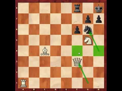 230 . وسط بازی در شطرنج - ترم 14 ( قسمت 18 )