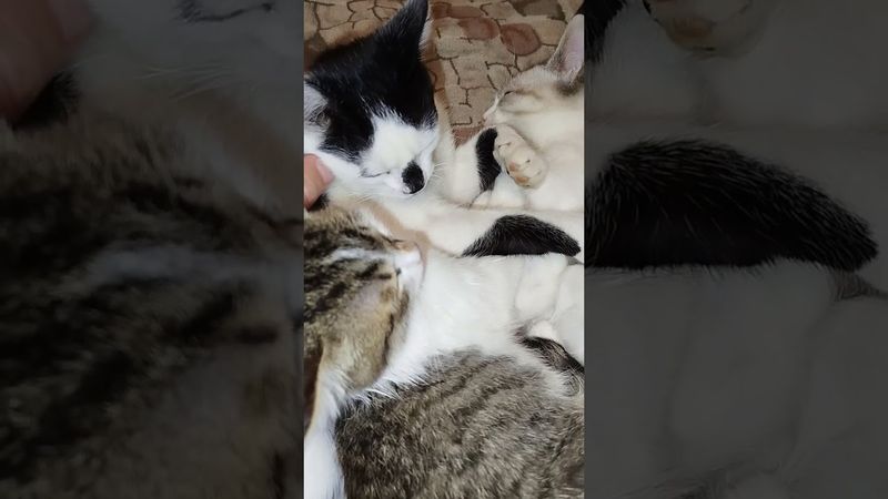 24 октября 2025 г.