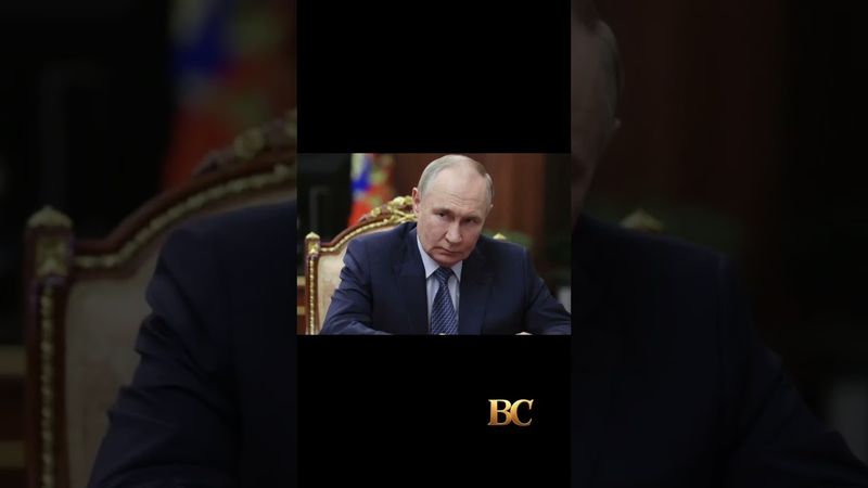 Trump, Vance to meet virtually with Zelenskyy ahead of Putin summit