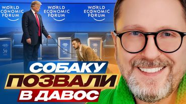 Собаку позвали в Давос