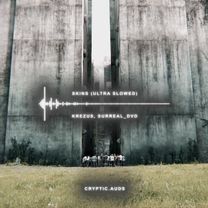 Edit audio: skins -krezus,surreal_dvd- ||  #audios #slowedsongs #edit...