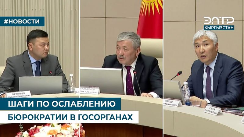 ШАГИ ПО ОСЛАБЛЕНИЮ БЮРОКРАТИИ В ГОСОРГАНАХ