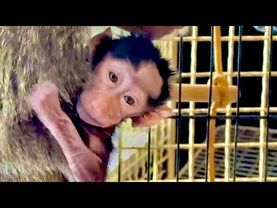 Мама Лида МОЛОДЕЦ,стала нежнее относиться к Анфисе и даже дала убрать у себя грязный гамак)))