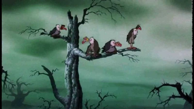 Groop & The Jungle book - What are we gonna do?