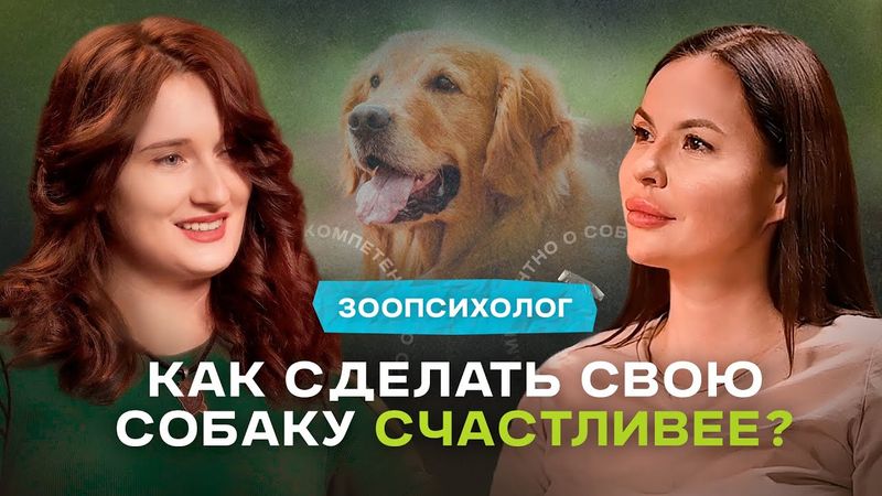 Как сделать свою собаку счастливее? — Зоопсихолог о психике собак и проблемах владельцев