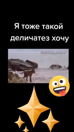 #развлечения #приколы #озвучка