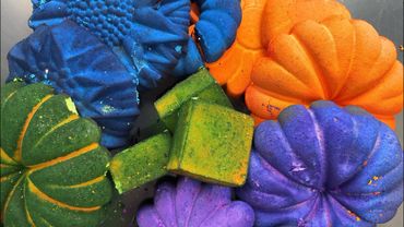 VIBRANT Color wheel of reforms