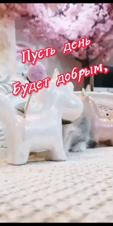 TikTok video #7057357422540721409