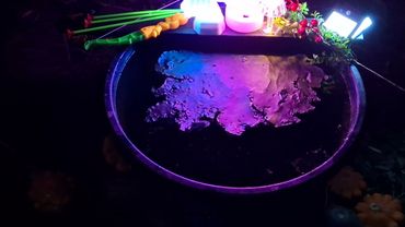 Чистка от нападений врагов!!!💥💦✌️