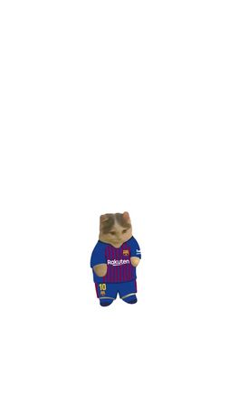 Why Messi left Barcelona! #messi #kitty #bacelona 