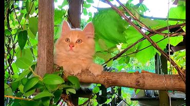 #Славянск. 21 августа 2025г. Вечер.