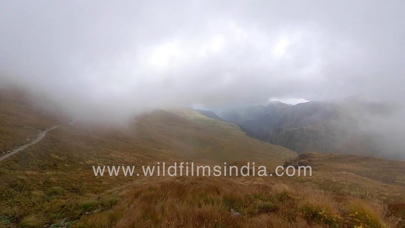 Cloudy meadows and buggyals of Garhwal, Bedni biggyal en route the Mystery Skeleton Lake at Roopkund