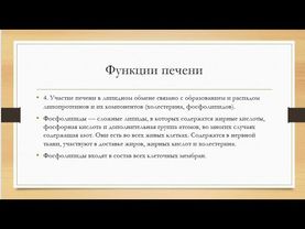 Диалог с печенью.