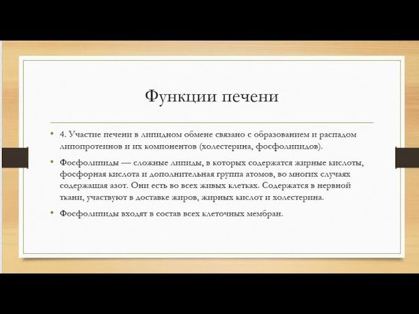 Диалог с печенью.