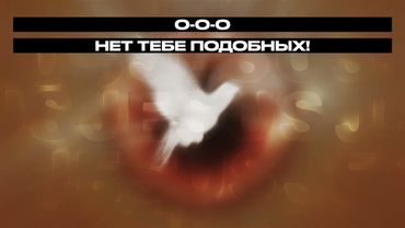 ПРЕКРАСЕН-ТЫ - Новая