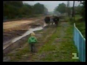 Независимость  Украина год второй