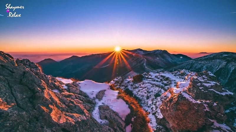 Müzik kalbi ve kan damarlarını iyileştirir 🌿 Sakinleştirici müzik sinir sistemini yeniler rahatlatır