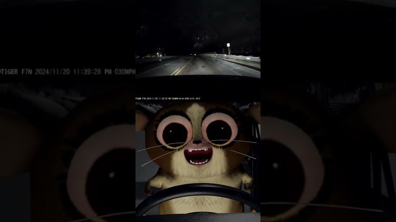 Эмоциональные качели на гололёде