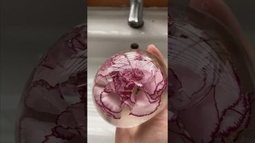 Nano Tape Flowers: When Crafting Blooms in aBubble!#diy #nanotape #flowers #handmade #satisfying