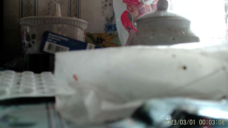 Фокус с вермишелью