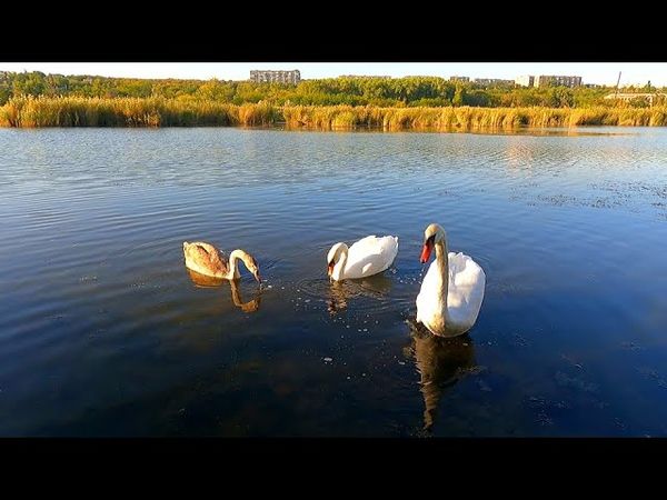 #Славянск. 22 сентября 2025г. Вечер.