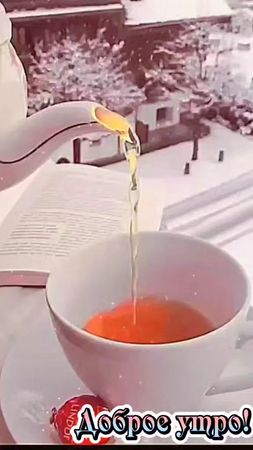 С добрым утром друзья ☕❄️❄️ #16ноября #сдобрымутром #доброе_утро #Gar...